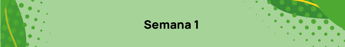 Semana 1 