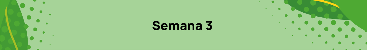 Semana 3