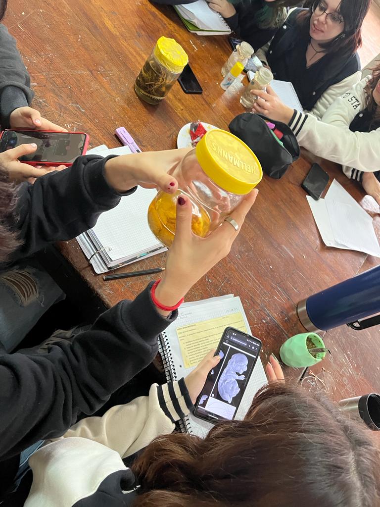 clase en laboratorio