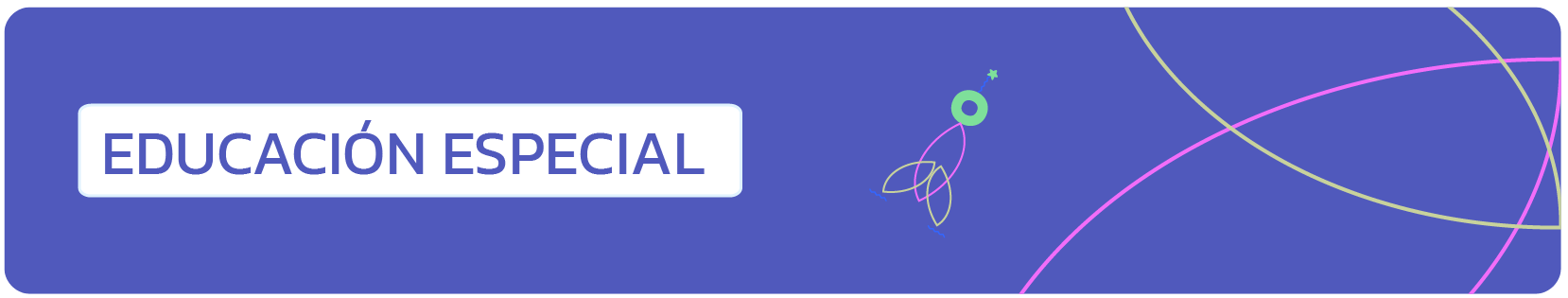 Banner educación especial
