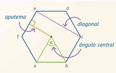 Partes que tiene un polígono regular