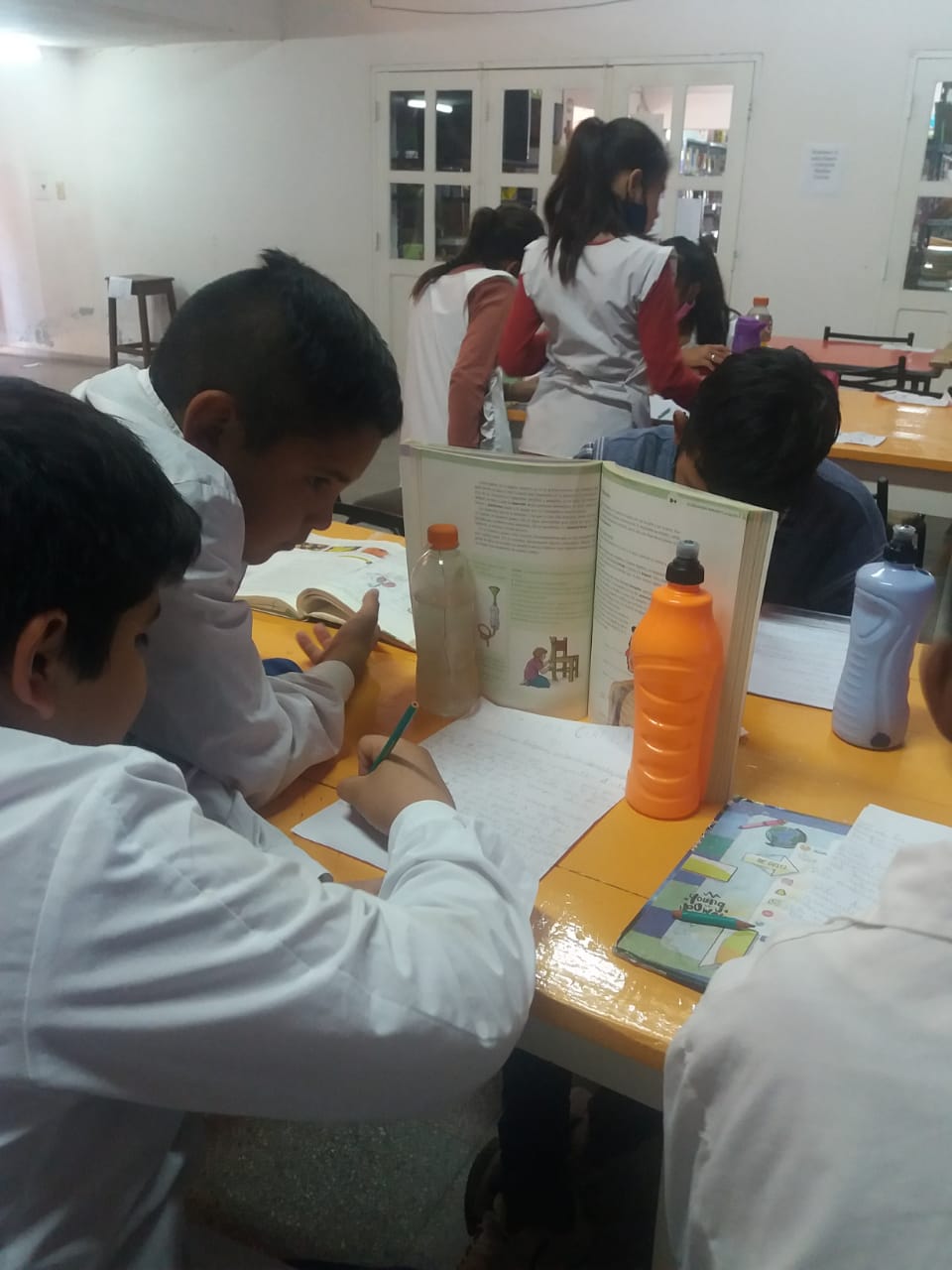 Dianas- recursos bibliográficos y especiales